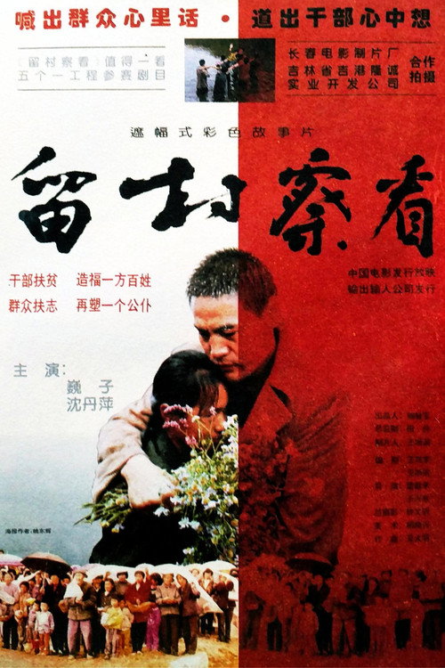 Probation within the Village poster