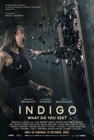 Indigo: What Do You See? poster