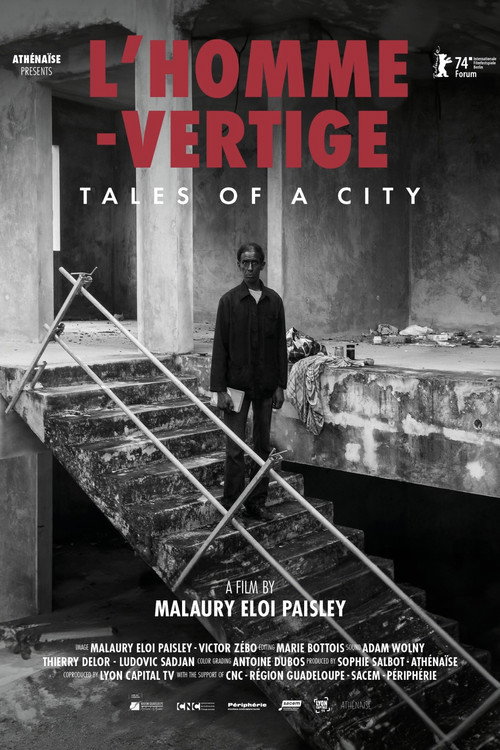 L’homme-vertige poster