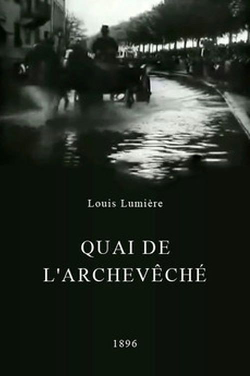 Lyon: quai de l'Archevêché poster