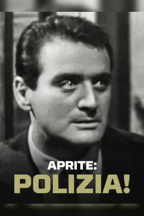 Aprite: polizia! poster