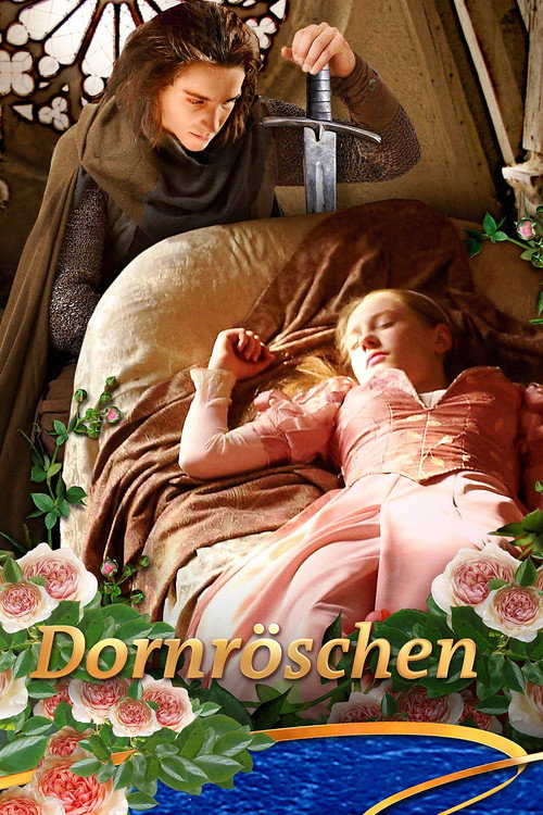 Sleeping Beauty poster