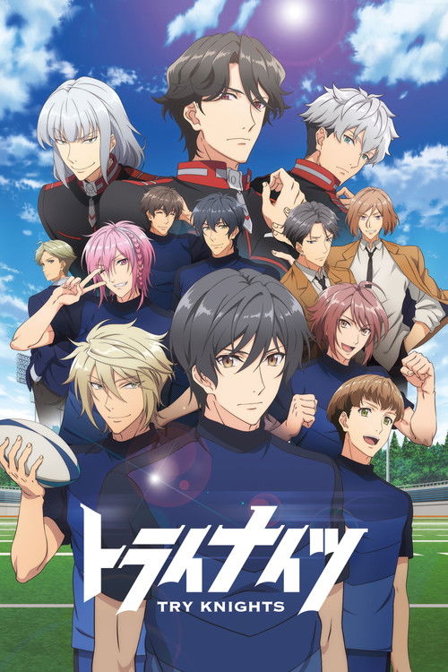 Try Knights poster