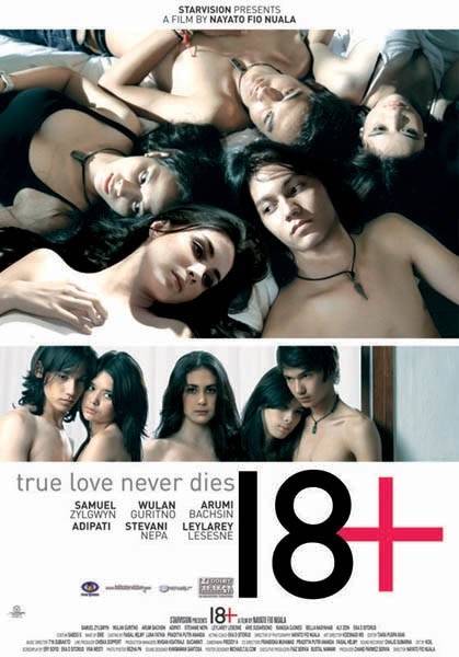 18+ poster