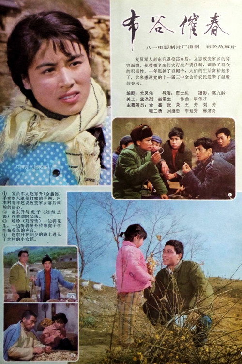 Bu gu cui chun poster