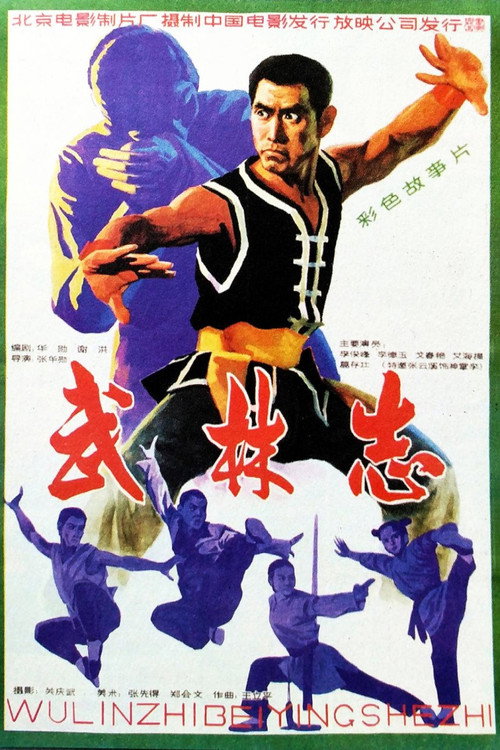 Deadly Fury poster