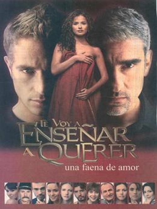 Te Voy a Enseñar a Querer poster