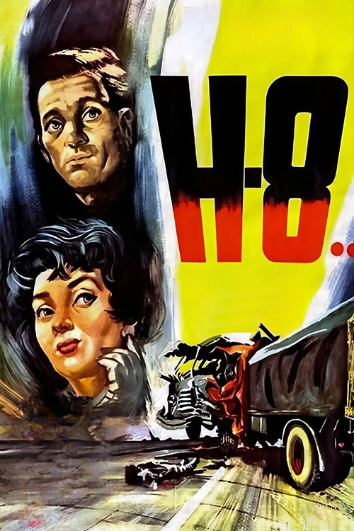 H-8 poster