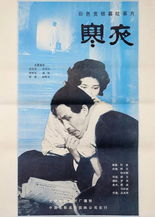 The Cold Night poster