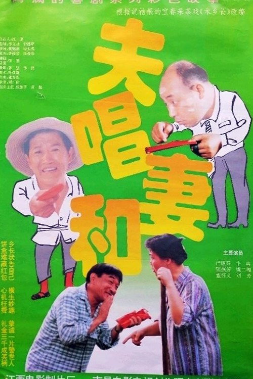 The Harmonious Couple poster
