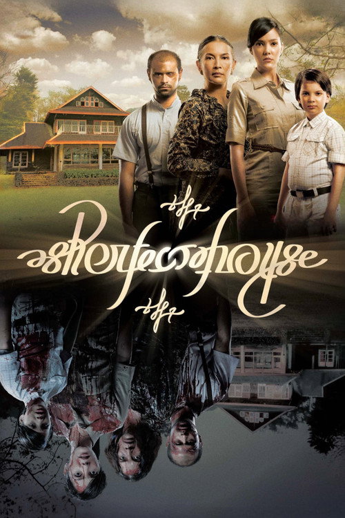 The Perfect House poster