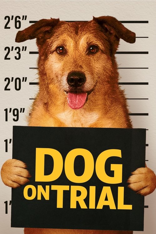 Who Let the Dog Bite? poster