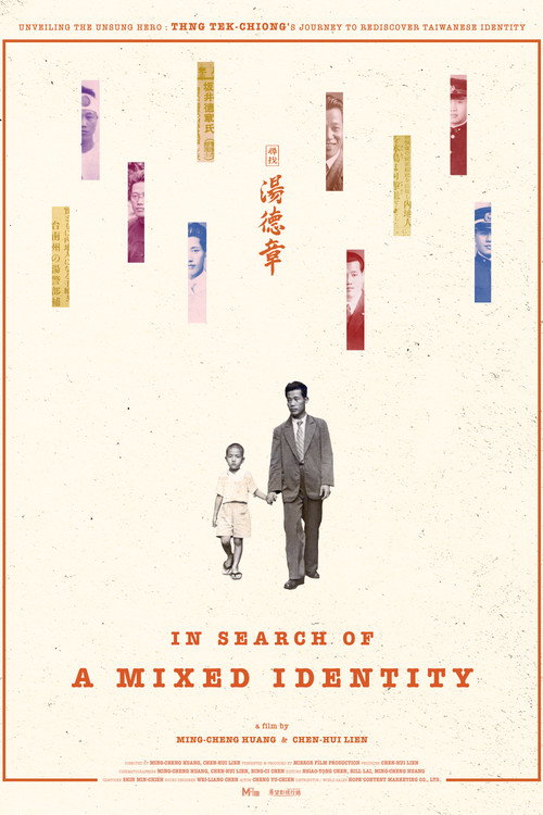 In Search of a Mixed Identity poster