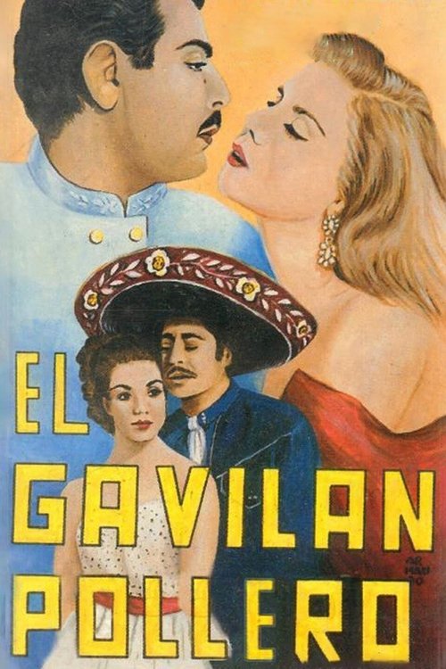 El gavilán pollero poster