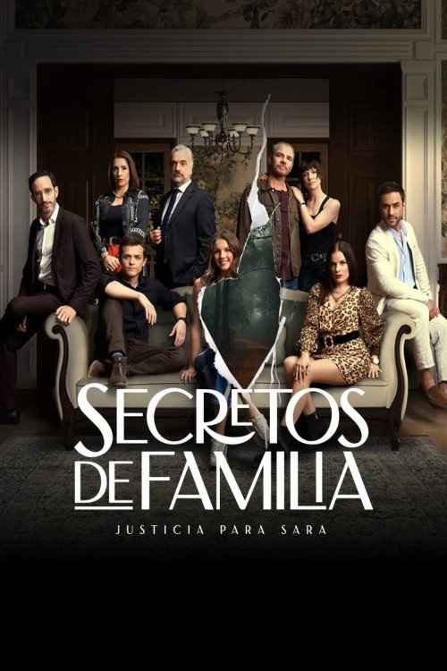 Family Secrets poster