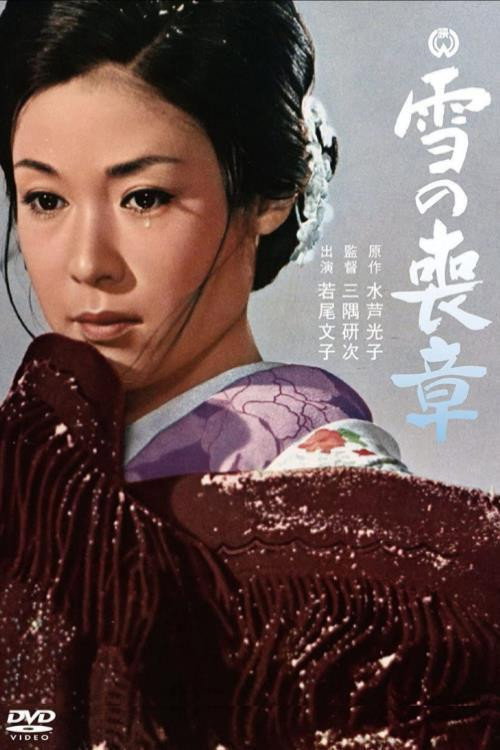 The Shroud of Snow poster
