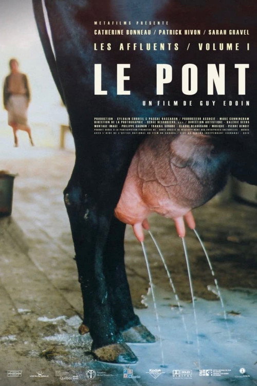 The Bridge poster