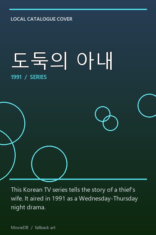 도둑의 아내 poster