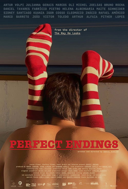 13 Sentimentos poster