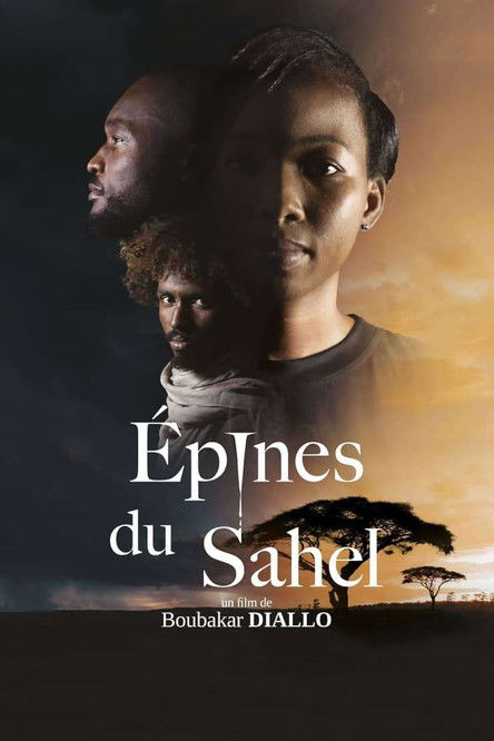 Thorns of the Sahel poster
