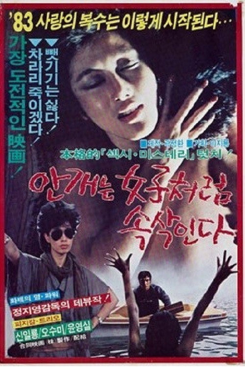 Mist Whispers Like Women poster