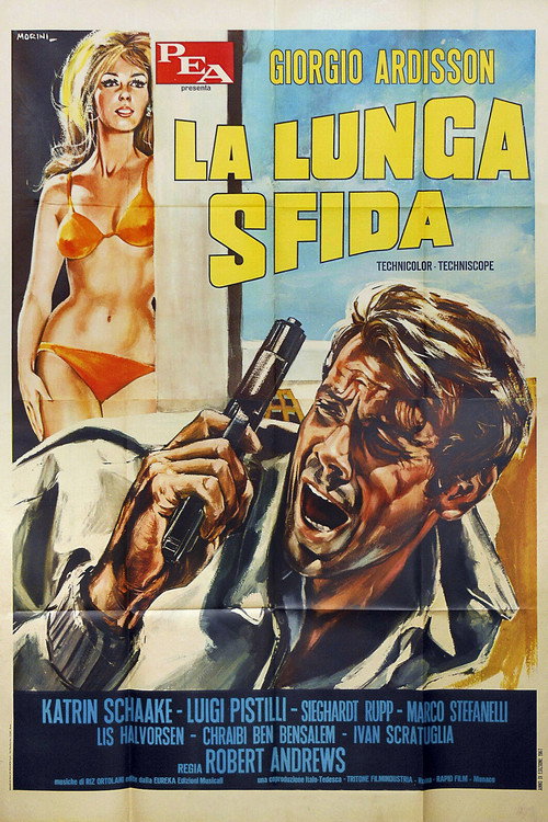 Adventure in Morocco poster
