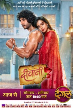 Deewani poster