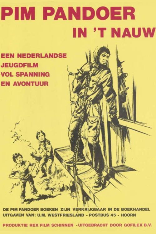 Pim Pandoer in het nauw poster