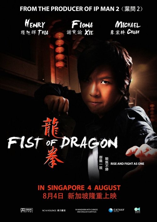 Fist Of Dragon poster