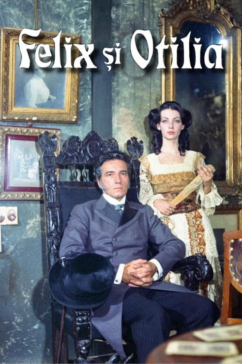 Felix și Otilia poster