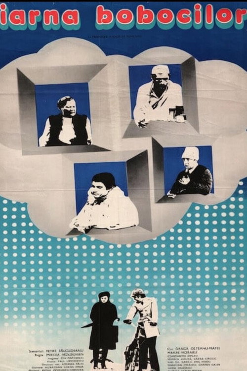The Winter of the Ducklings poster