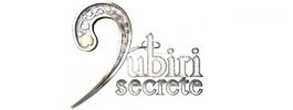 Iubiri secrete poster