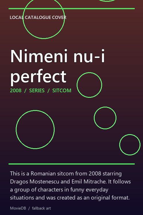 Nimeni nu-i perfect poster