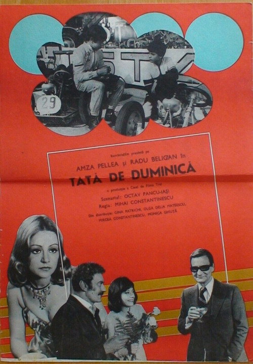 Tată de duminică poster