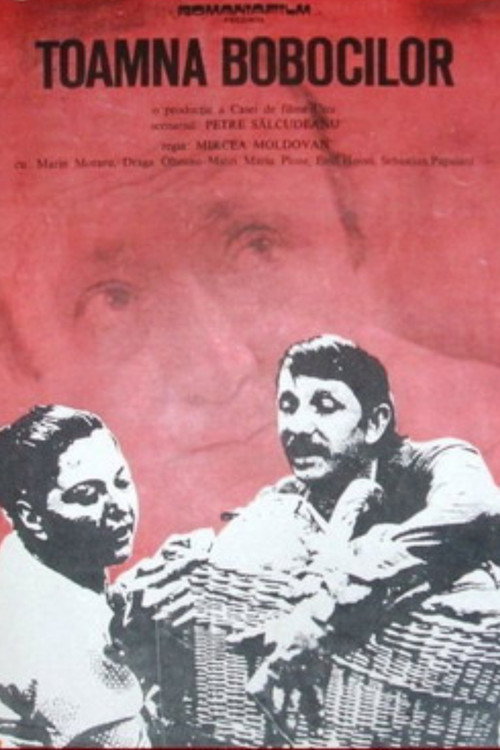Autumn of the Ducklings poster
