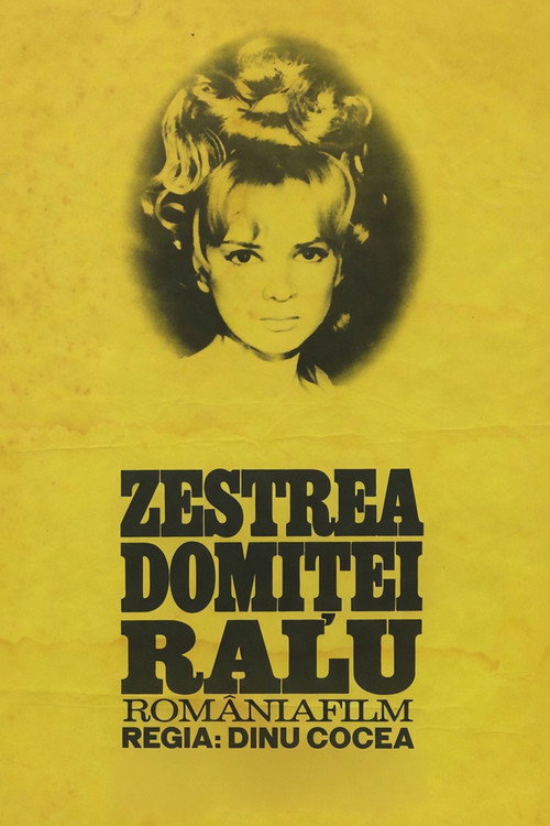 Zestrea domnitei Ralu poster