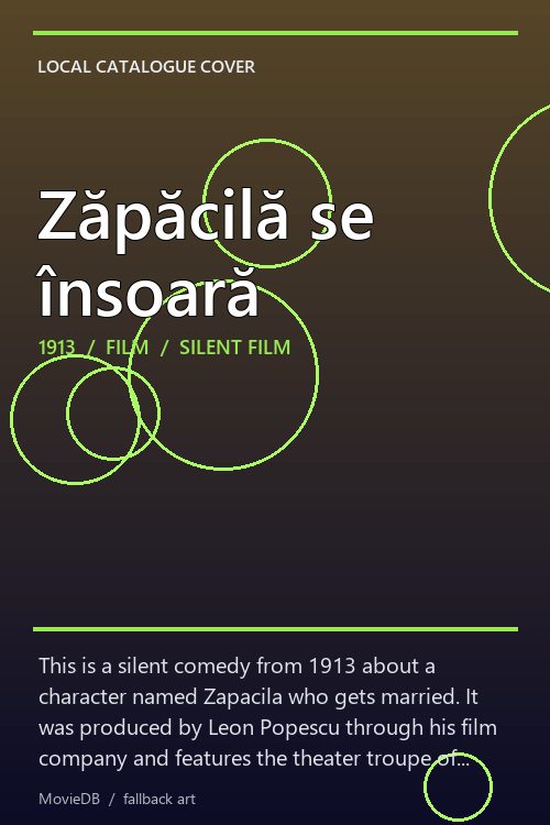 Zăpăcilă se însoară poster