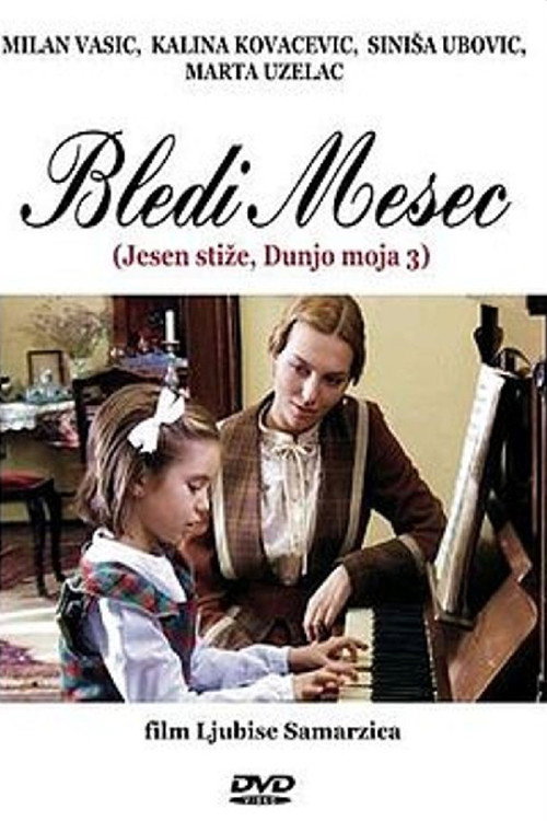 Pale Moon poster