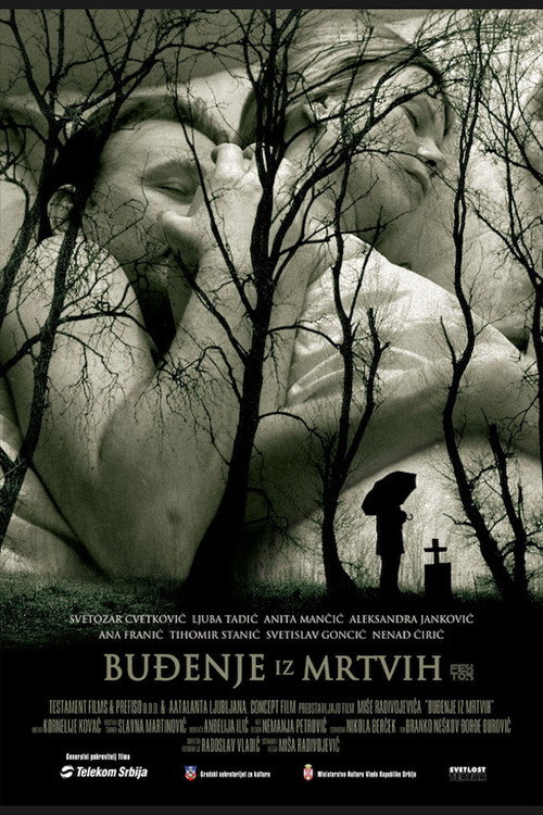 Awaking from the Dead poster