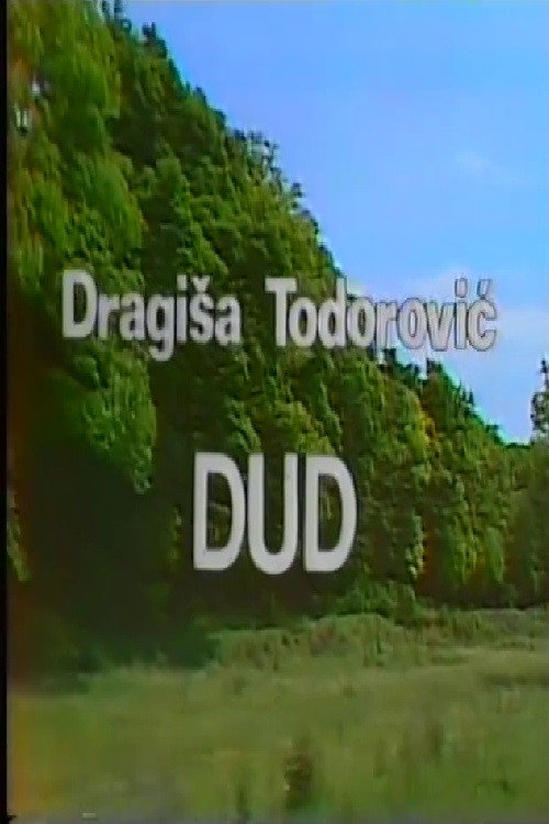 The Mulberry Tree poster