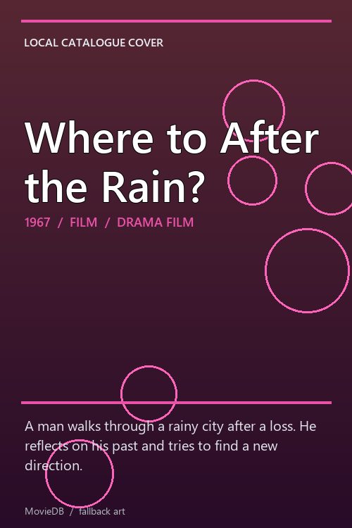 Where to After the Rain? poster