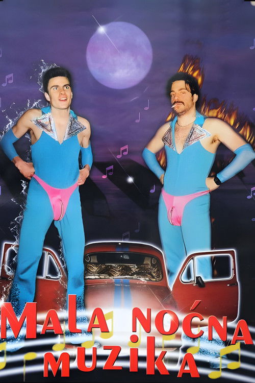 Mala nocna muzika poster