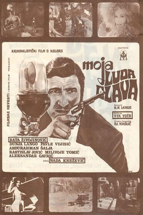 Moja luda glava poster