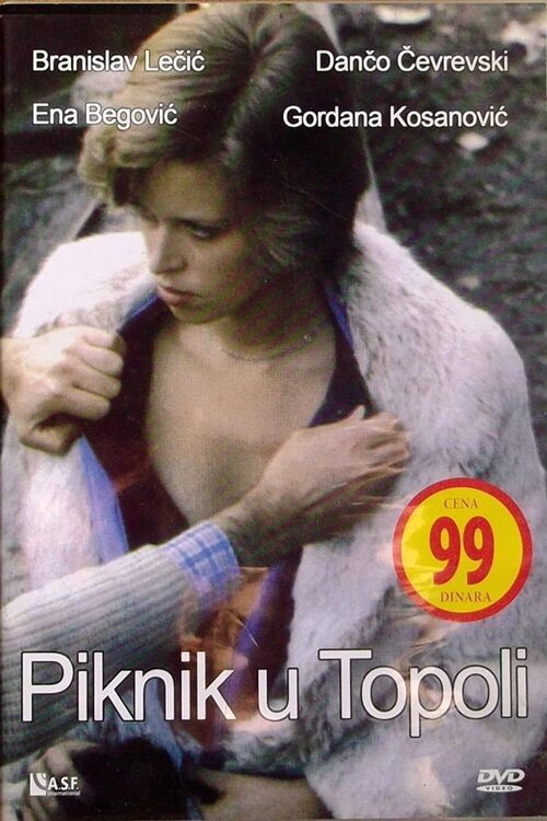 Piknik u Topoli poster