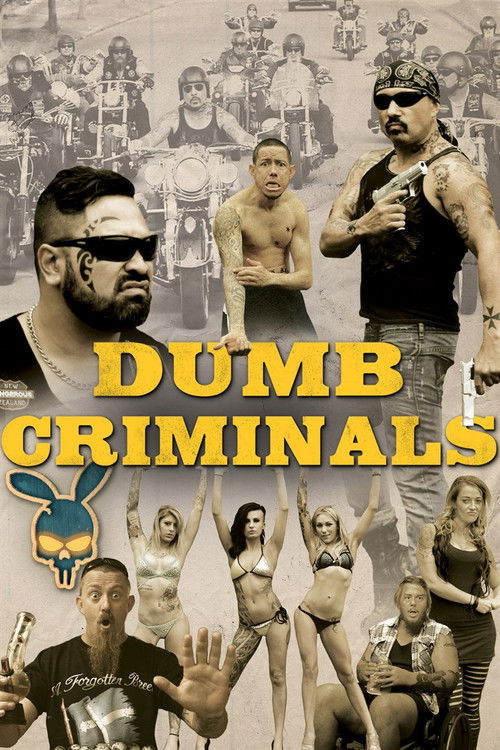 Dumb Criminals poster