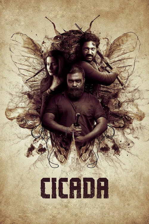 Cicada poster