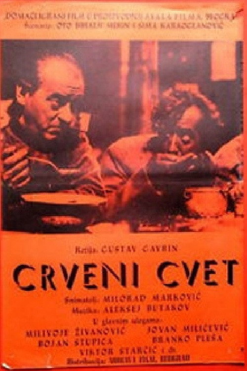 Crveni cvet poster