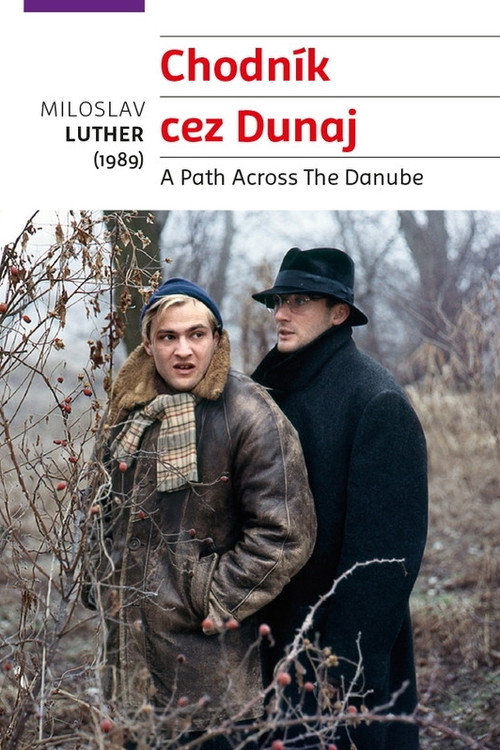 Chodník cez Dunaj poster