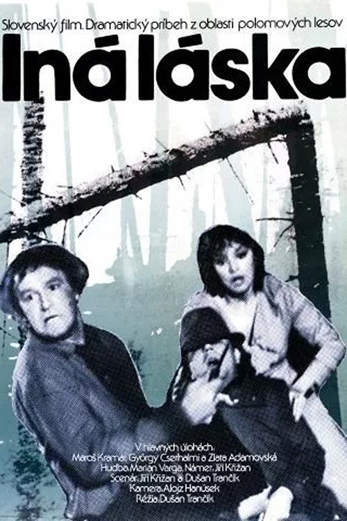 Iná láska poster