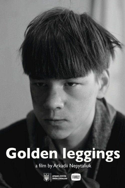 Golden leggings poster